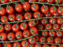 Russia, Turkey Further Mend Ties With a Tomato Import "Reset"
