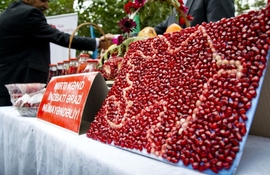 Visiting Azerbaijan?  Don’t Miss This Weekend’s Pomegranate Festival!