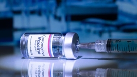 AstraZeneca, Sputnik V Developer Explore Possibility of Combining Covid-19 Vaccines