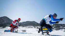 Azerbaijan To Send Athlete to Winter Paralympic Games for First Time
