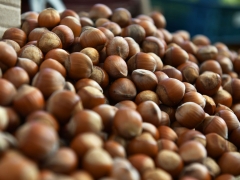 Azerbaijan is Third-Largest Hazelnut Exporter in the World