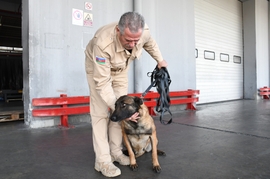 Azerbaijani Mine Action Agency Gets Five More Detection Dogs