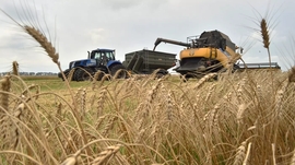 Russia, Türkiye, Qatar Plan New Grain Export Deal: Report