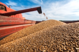 Kazakhstan Enacts Six-Month Wheat Import Ban