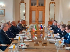 Iran, Russia Discuss BRICS Cooperation