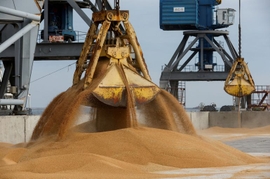 Russia Sends 50,000 Tonnes of Wheat to Central African Republic Amid Grain Export Worries